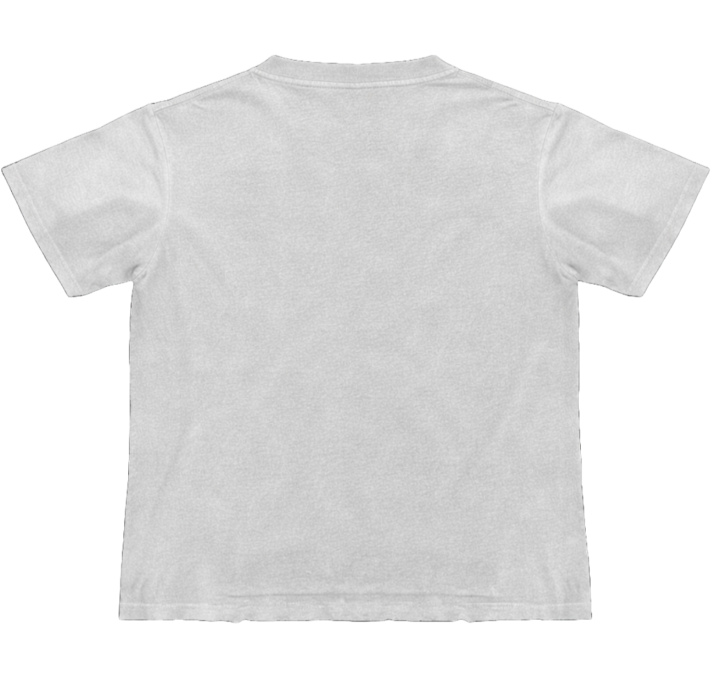 C3 image 1